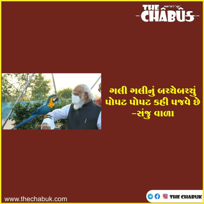 Parrot