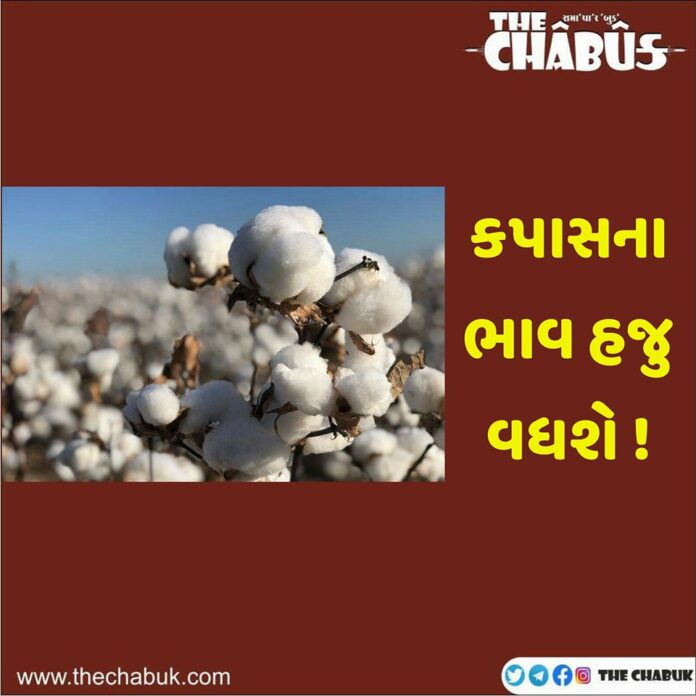 cotton