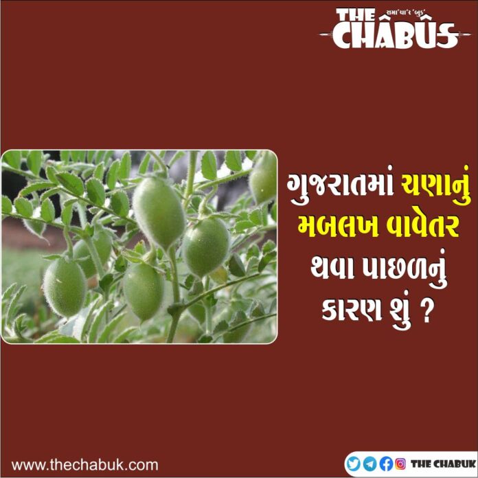 chana