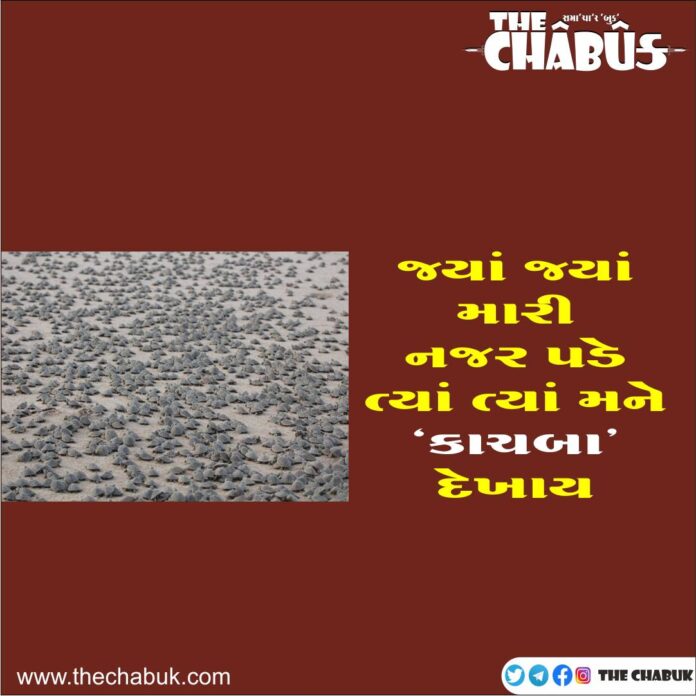 kachaba