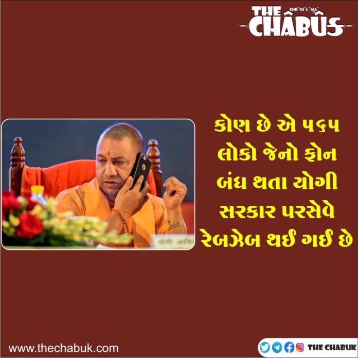 yogi