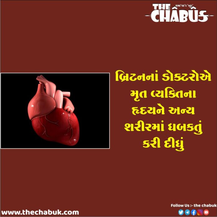 Heart