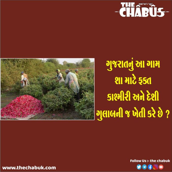 GULAB