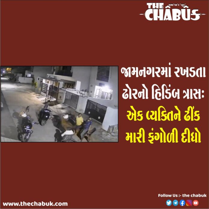 Jamnagar Bull Attack