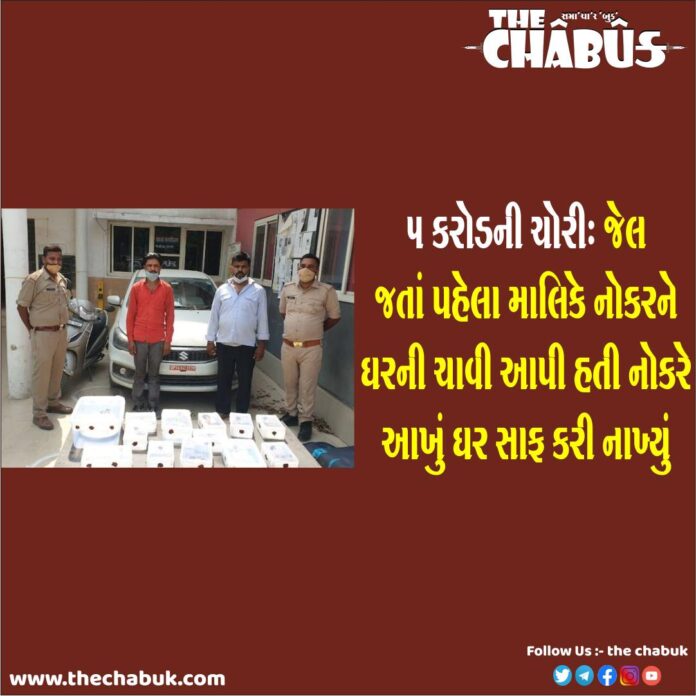 Delhi Noida 5 Corore Rupess Thief Servant