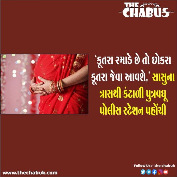 ahmedabad sasu