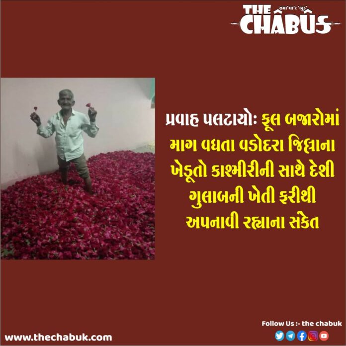 gulab farming