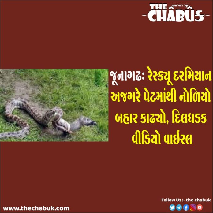 junagadh python