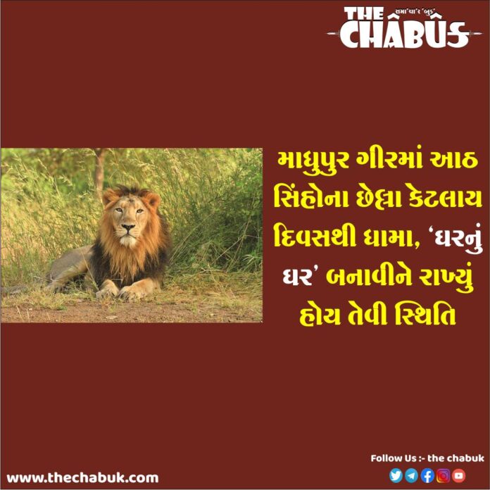 madhupur lion