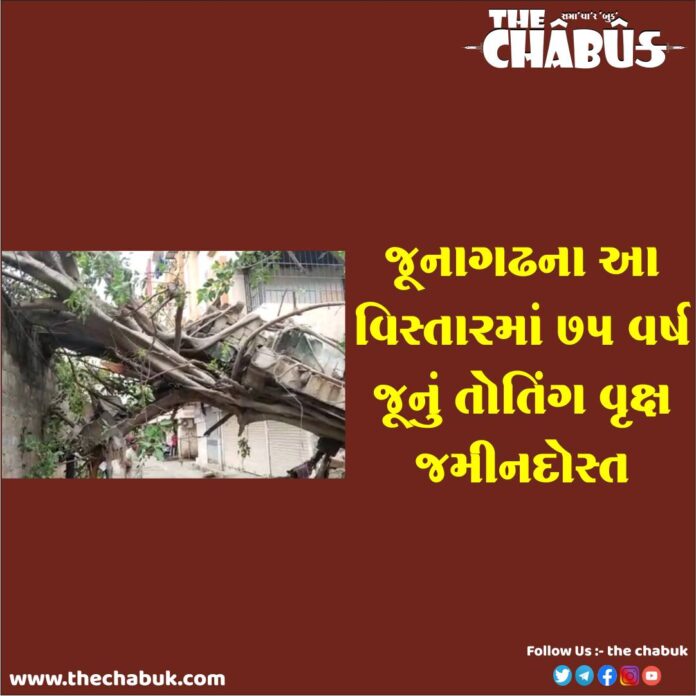 Junagadh