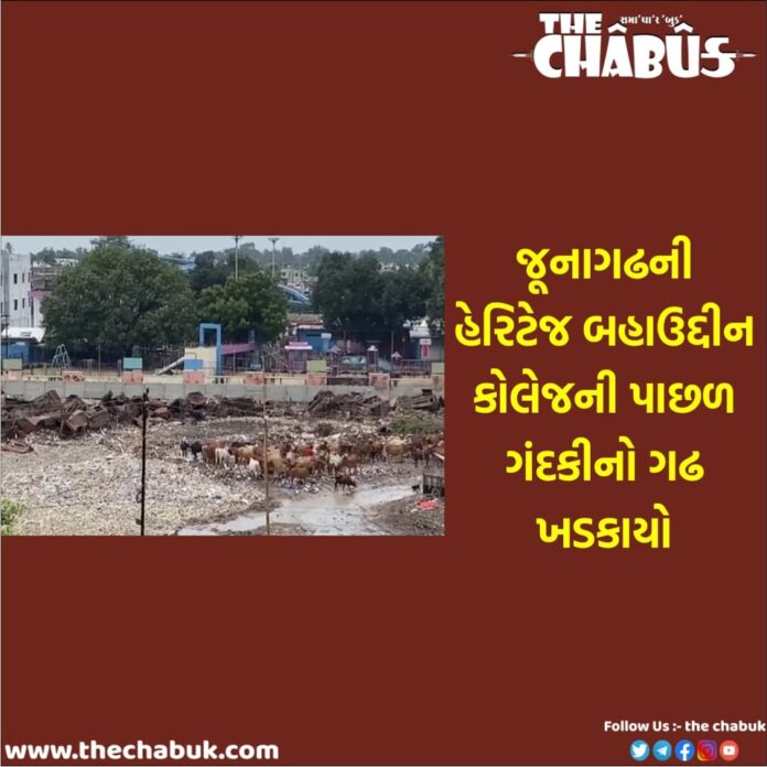 Garbage behind Bahauddin Arts College Junagadh