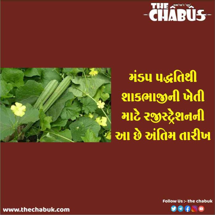 Vegetable Mandap Paddhati Bagayat Sahay