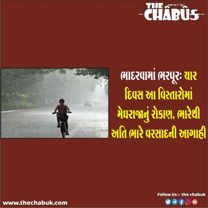 heavy rain in gujarat