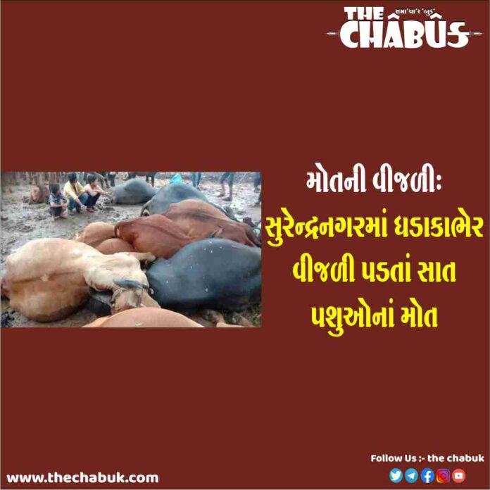 surendranagar vijli