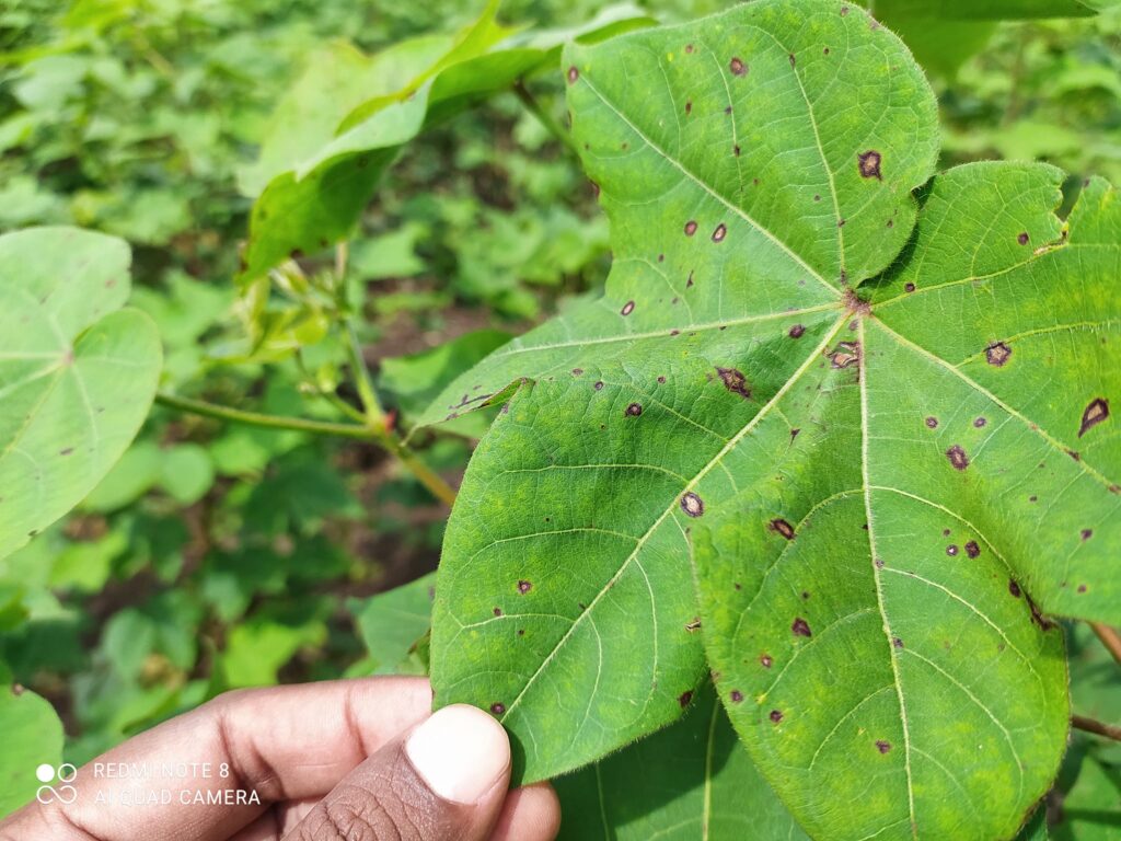 Dr.Gani Patel-1