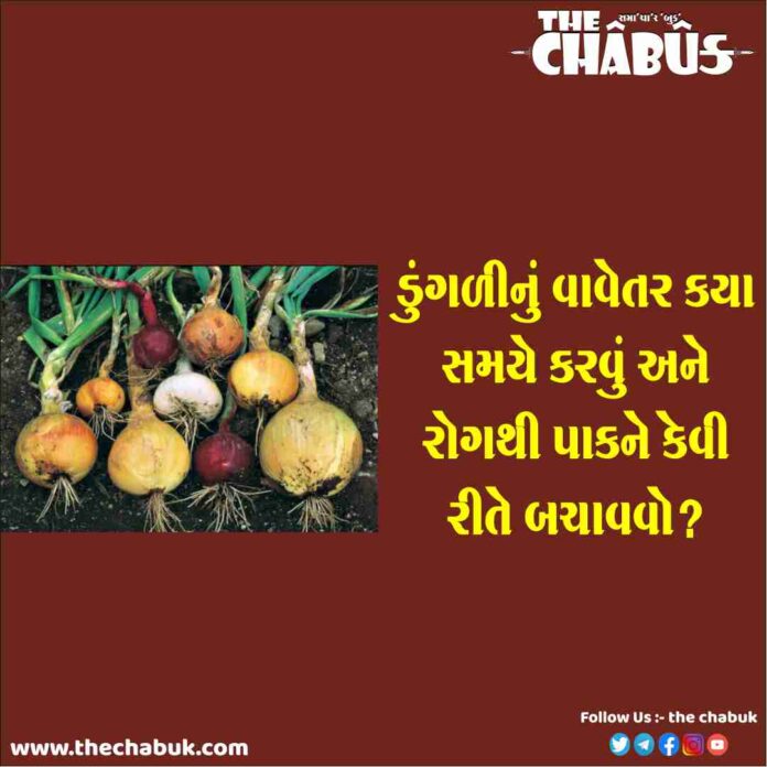 Onion