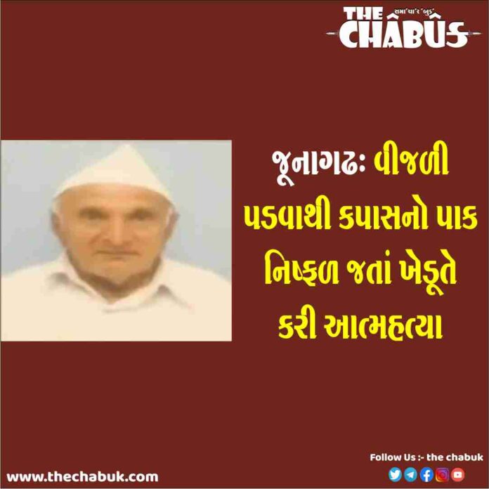 JUNAGADH FARMER SUICIDE