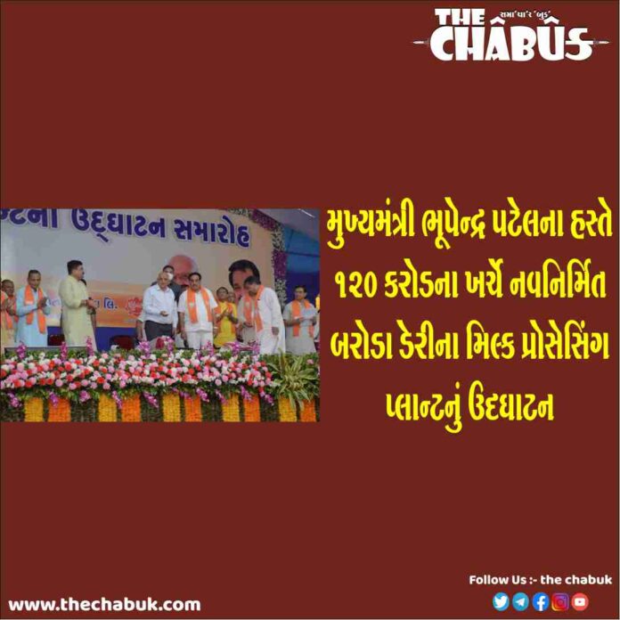 baroda dairy