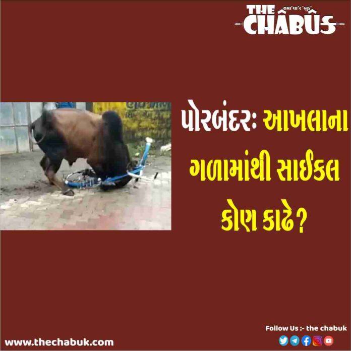 porbandar aakhlo