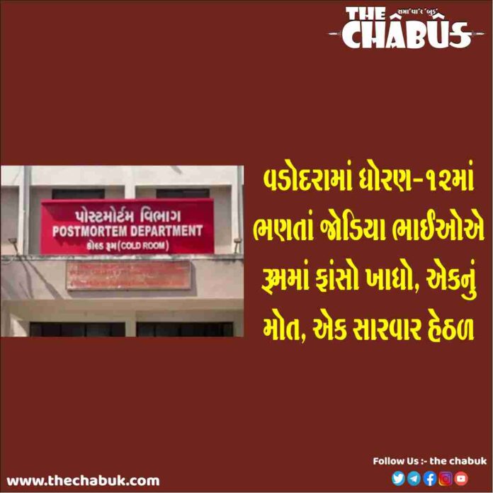 vadodara brother suicide