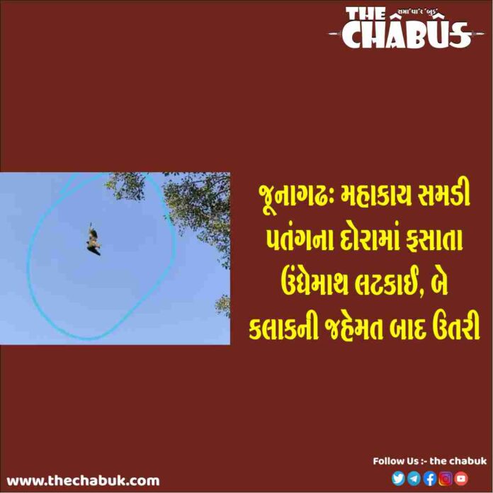 Kite
