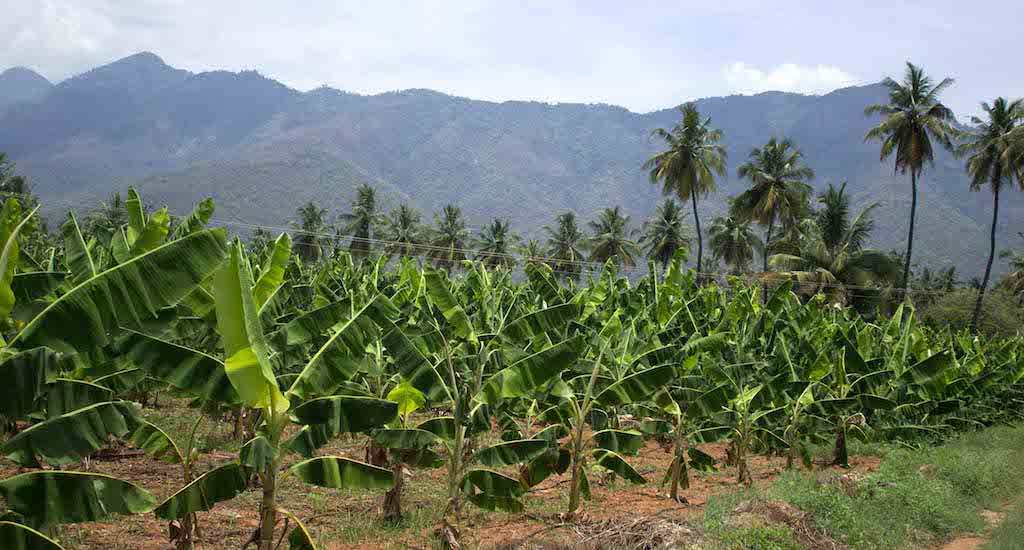 Best Village 