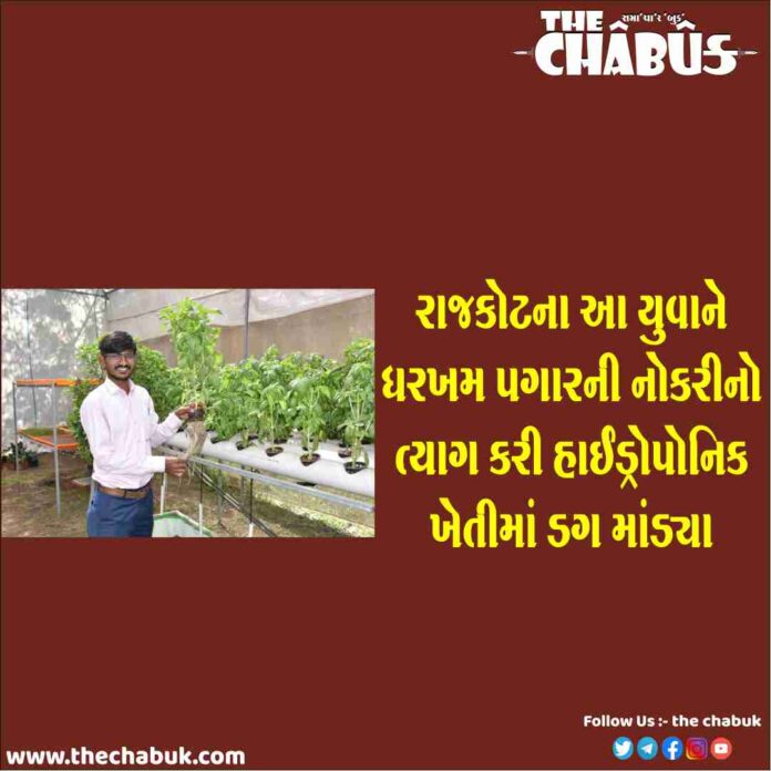 hydroponic farming
