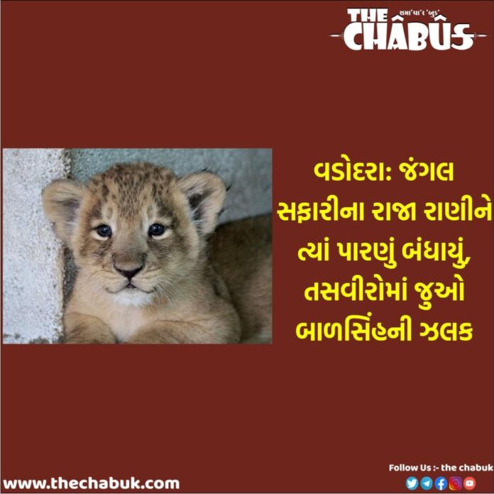 Lion