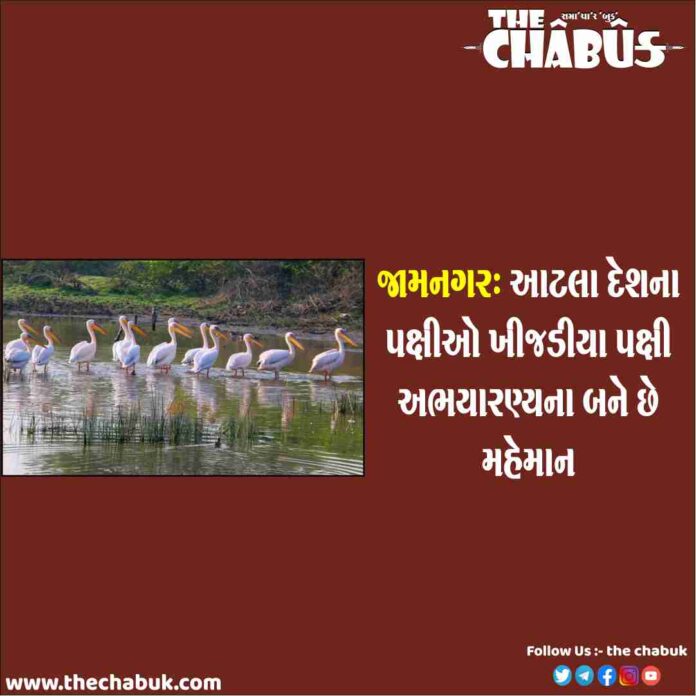 khijadiya bird sanctuary
