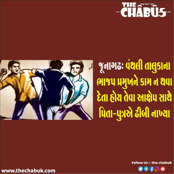 junagadh beaten