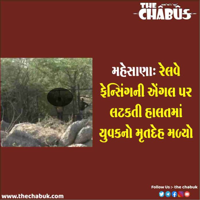 mehsana suicide