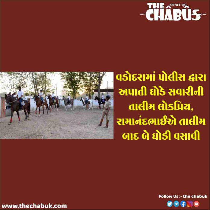 vadodara horse riding