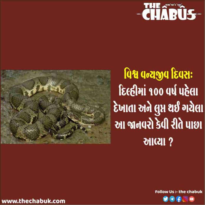 world wildlife day