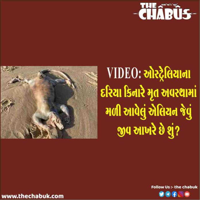 animal like alien