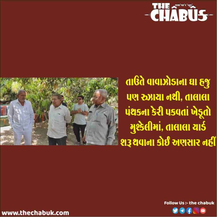 talala mango farmer