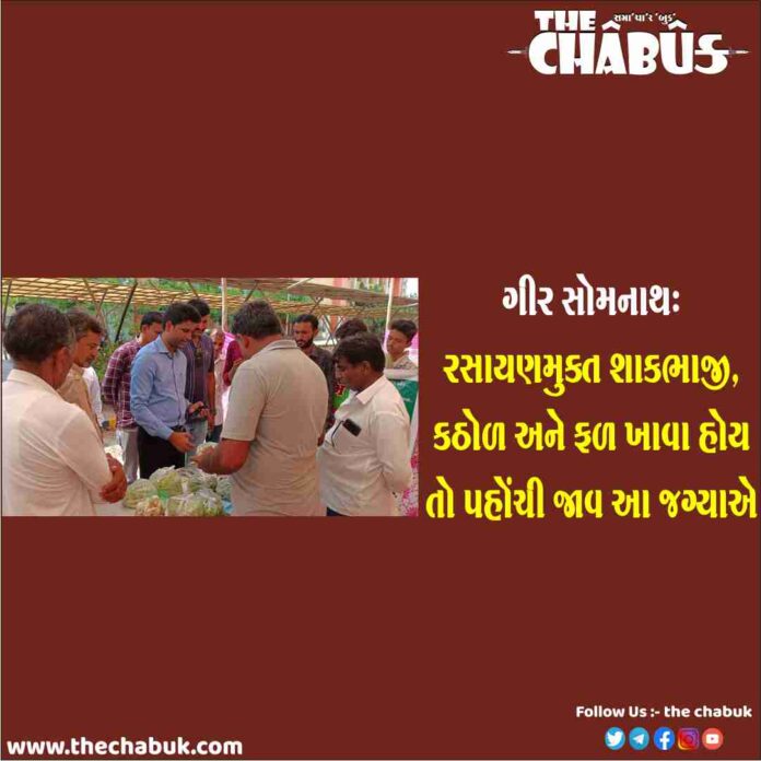 gir somnath natural hatt