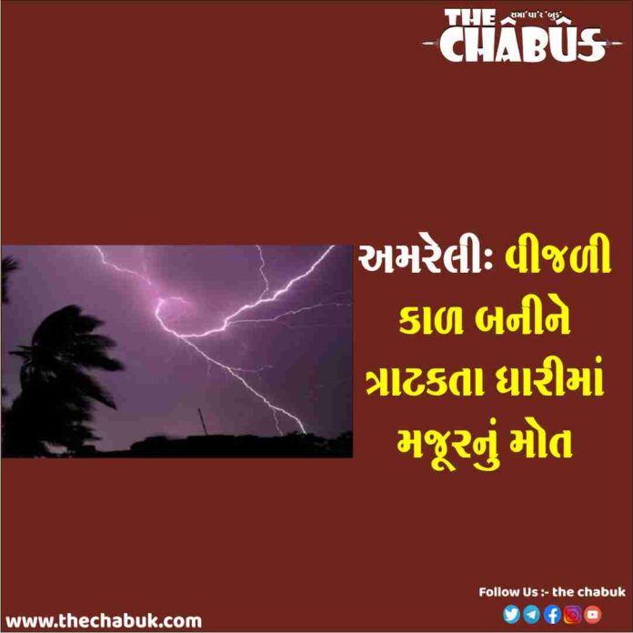 dhari vijli