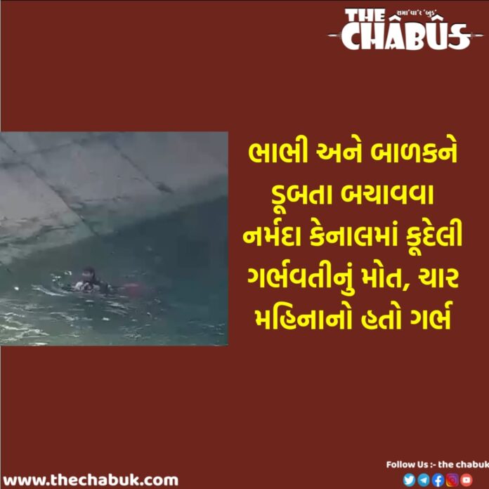Narmada canal