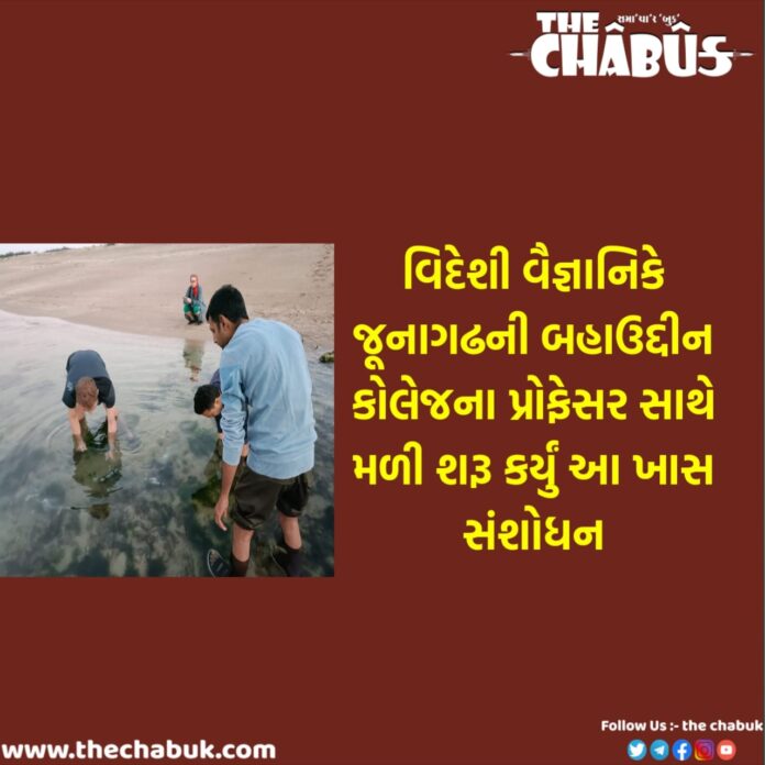 junagadh professor Research