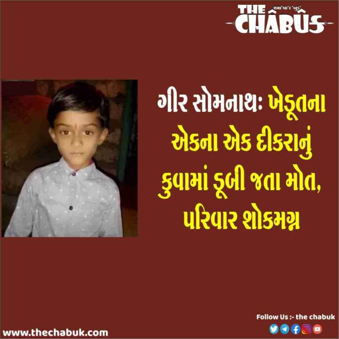 Gir Somnath Inddrois Farmer Son Drowned in well