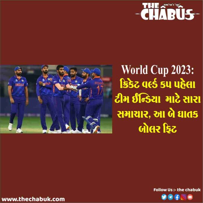 fast bowler
