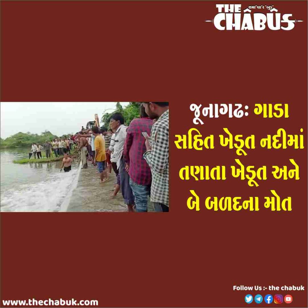 junagadh farmer death