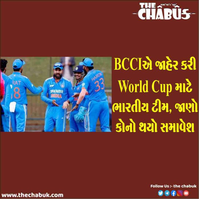 team india for world cup