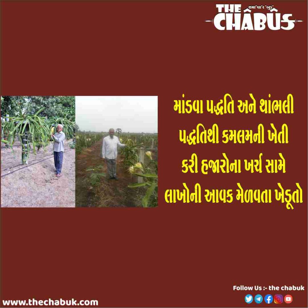 kamlam farming