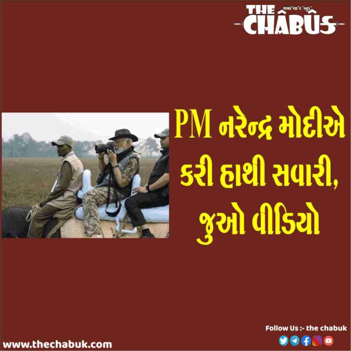 pm