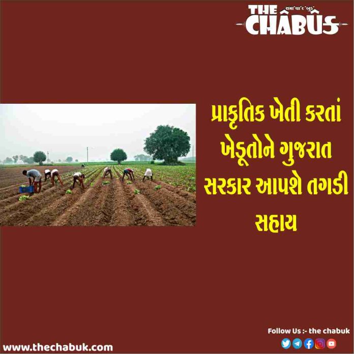 organic farming