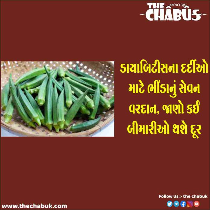 ladyfinger