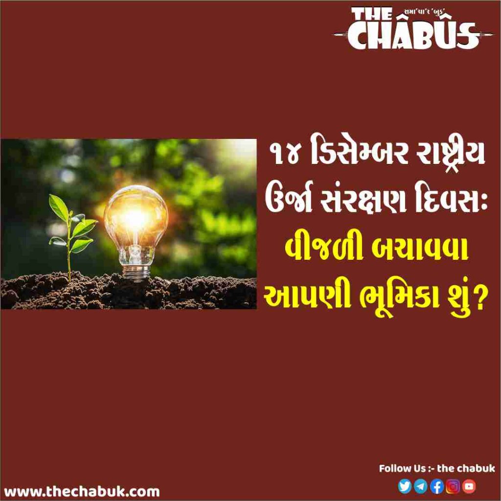 energy conservation day